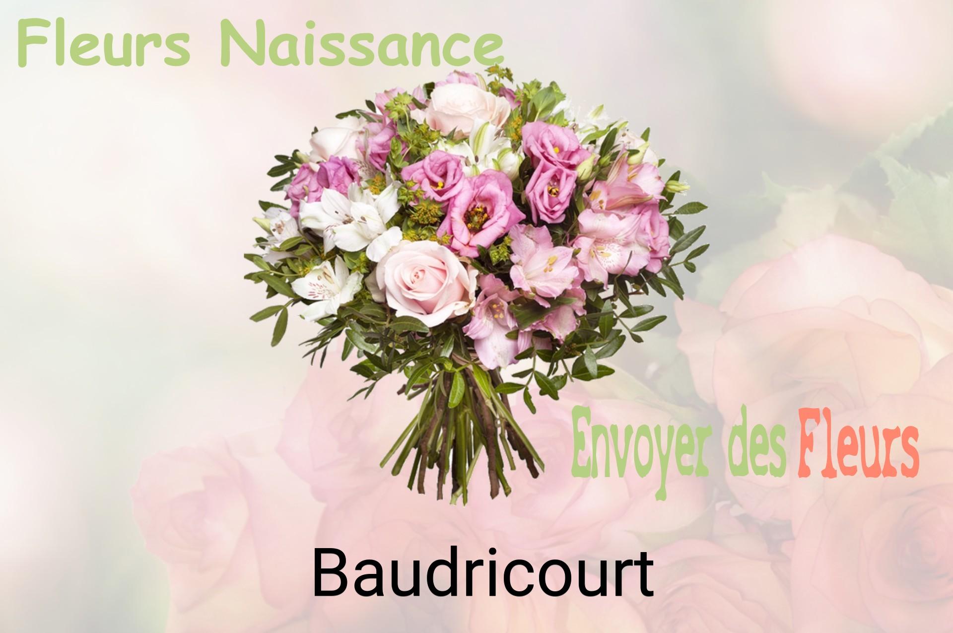 Bouquet de fleurs de naissance livré à Baudricourt